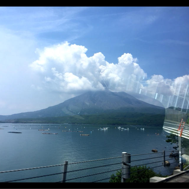 義実家