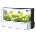 低価格なLED水耕栽培器 Green Farmが登場