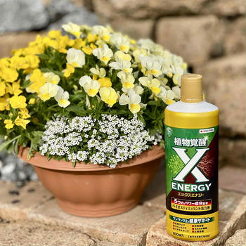 * 新商品『X-energy（ #エックスエナジー ）』♪