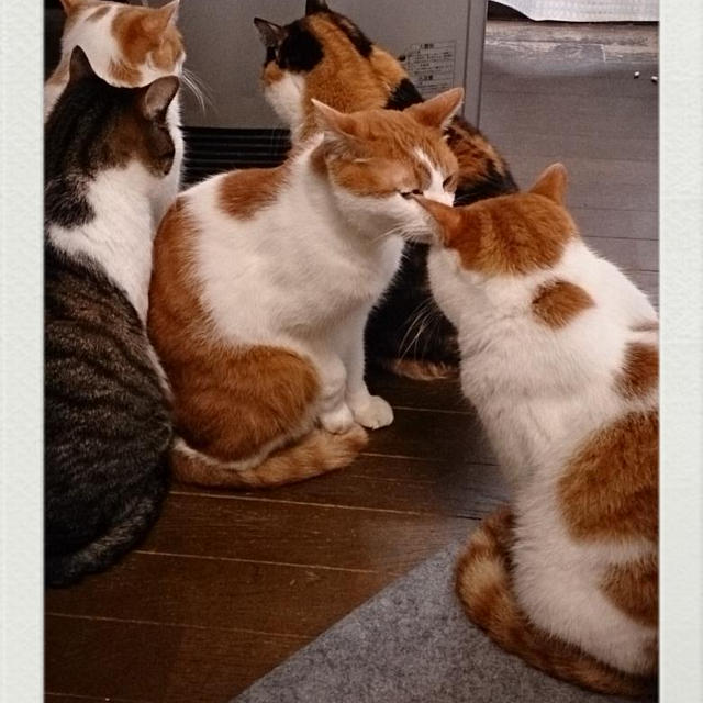 ヒーターは誰のもの？