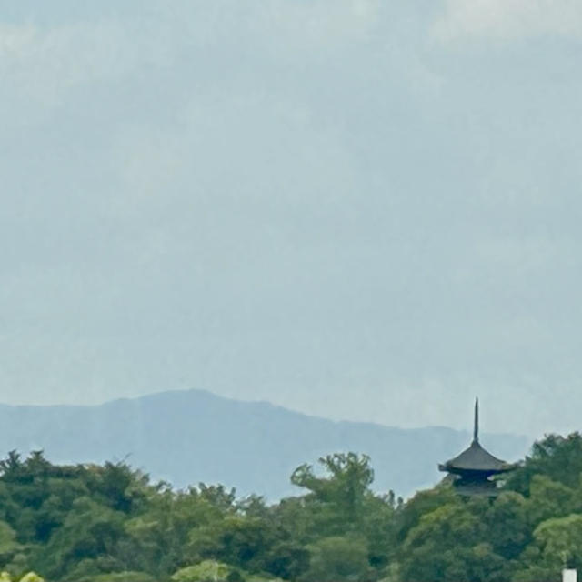 ランチは、ビュッフェで (ウェスティン都ホテル京都)