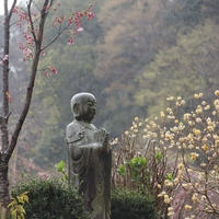 雨の紹太寺