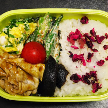 9月3日☆今日のお弁当は、豚肉の冷しゃぶカレーソース弁当