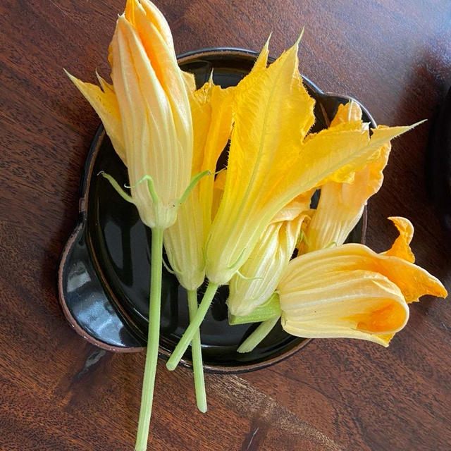 花ズッキーニのフライ&手作りリコッタチーズ