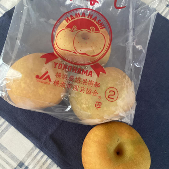 横浜から来た梨