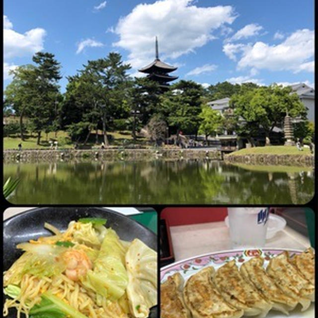 散歩がてら奈良へ