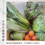無農薬栽培の野菜が届きました【運菜】