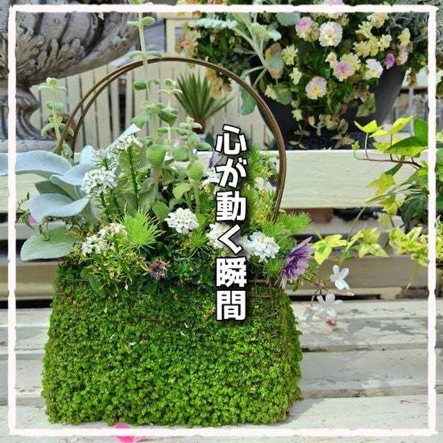 ナチュラルベランダガーデン