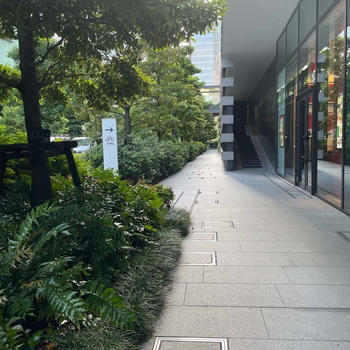 街乗りの為の調査？！