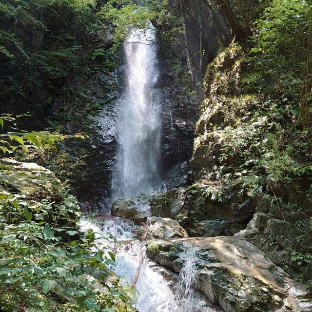 夏休みのお出かけと塩麴豚のトマトソース