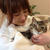 長男猫と永遠のお別れしました