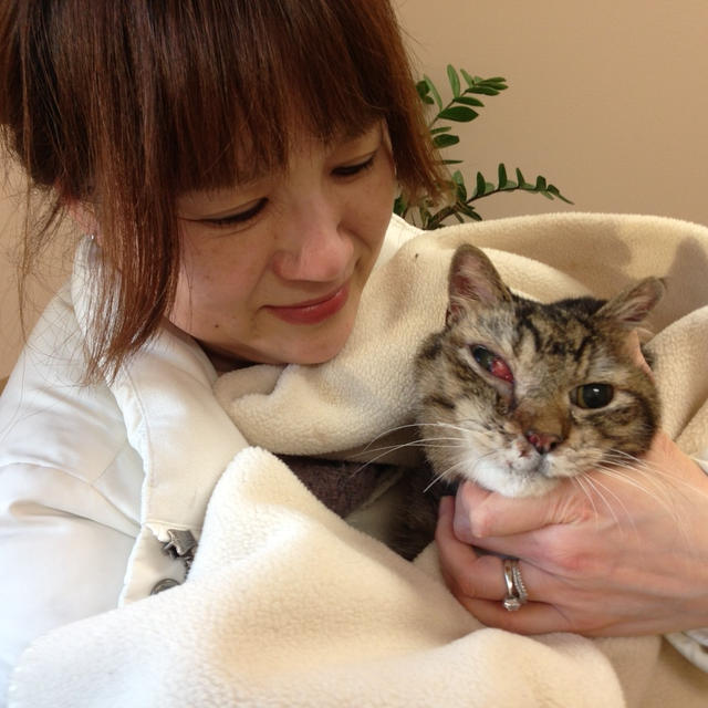 長男猫と永遠のお別れしました
