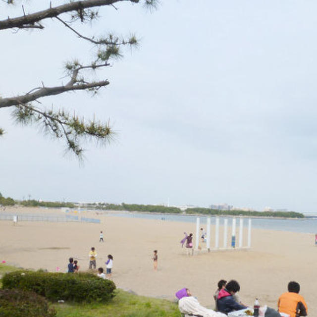 海の公園の潮干狩り♪