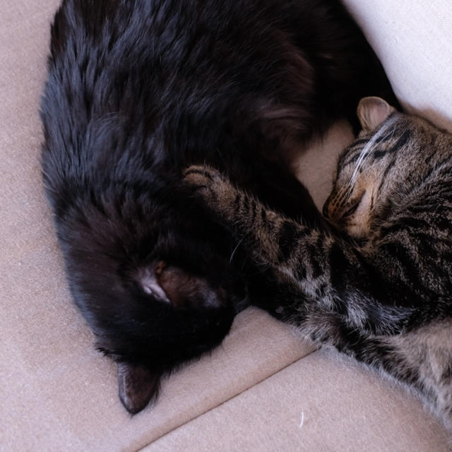 更年期と上手につき合おう