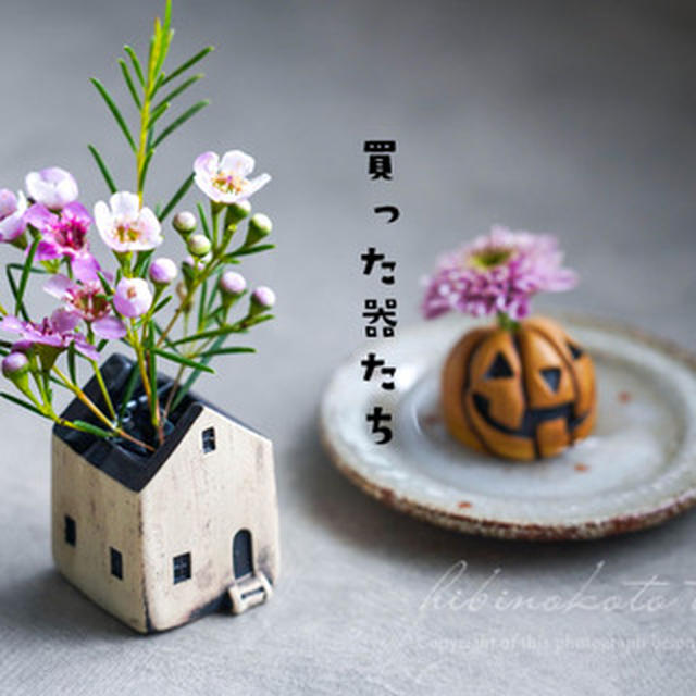 買った器たちと、今日のおべんとう