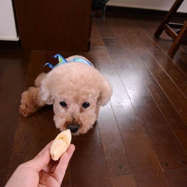 待て！