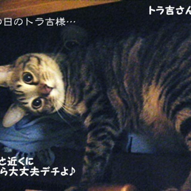 今日から仕事へ行ってきます！