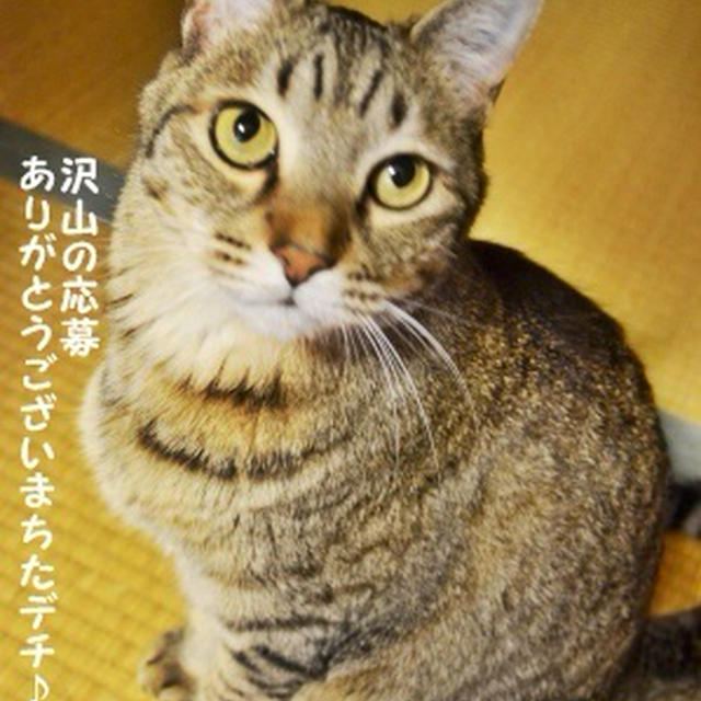 ありがとうございます♪プレ企画★