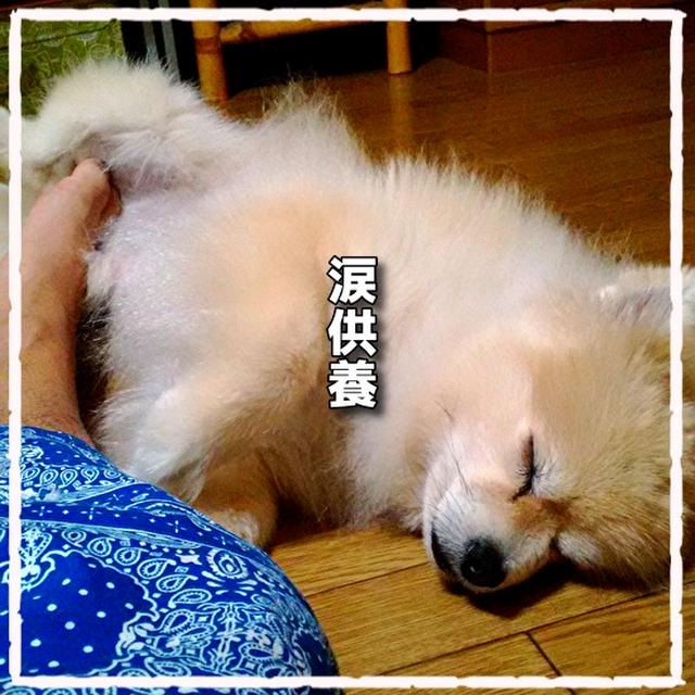 16歳のお誕生日おめでとう