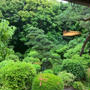 緑鮮やかな雨の東山荘