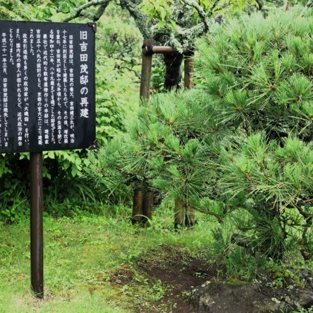 ■「中津松楠会」施設見学会参加【６月２８日「①旧吉田茂邸編」】