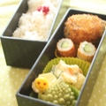 撮影いってきました＆２日分のお弁当２０ by 薬膳料理研究家＊フードコーディネーター　神田　美紀さん