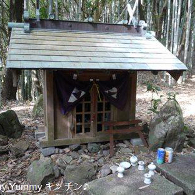 湯浅城跡の自然石(お墓)他♪２０１１年冬民放ドラマいちおし投票～