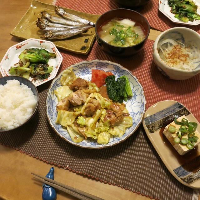 ”鶏ちゃん”風　鶏肉とキャベツの炒め物　と　クリスマスローズいろいろ♪