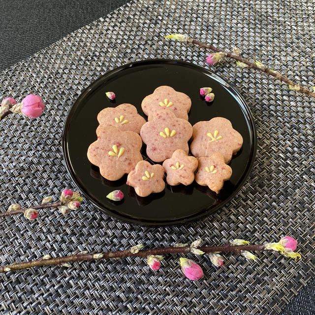 veganクランベリークッキー（バイタミックス）