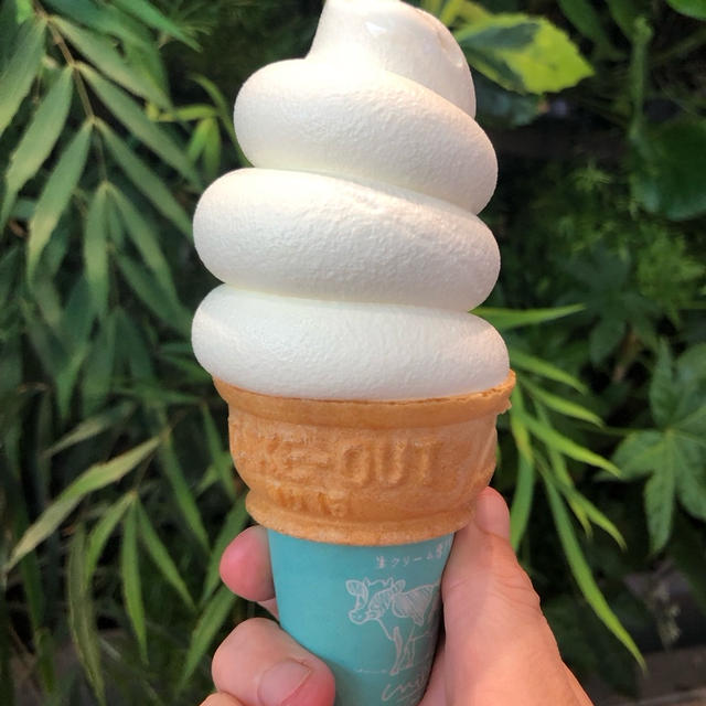 アイスはコーン派？カップ派？