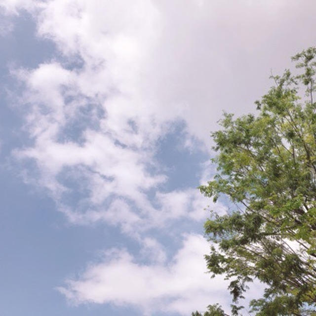 雨上がる