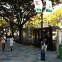 表参道なう