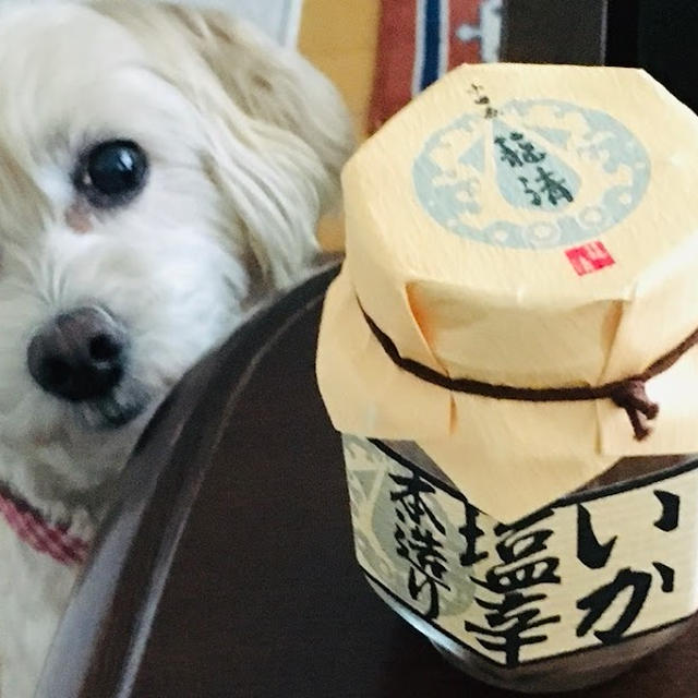 籠清の塩辛