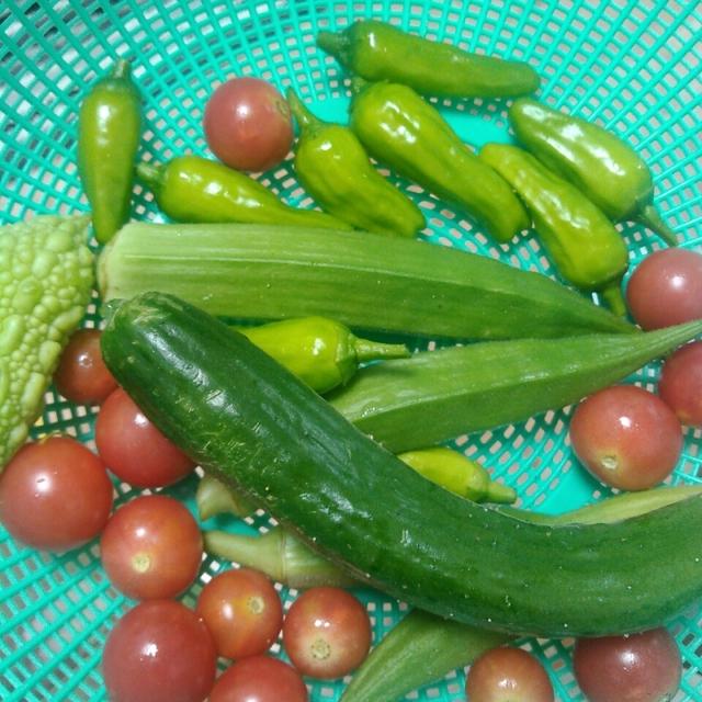 田舎の夏休み的な写真