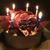 ミズホの誕生日