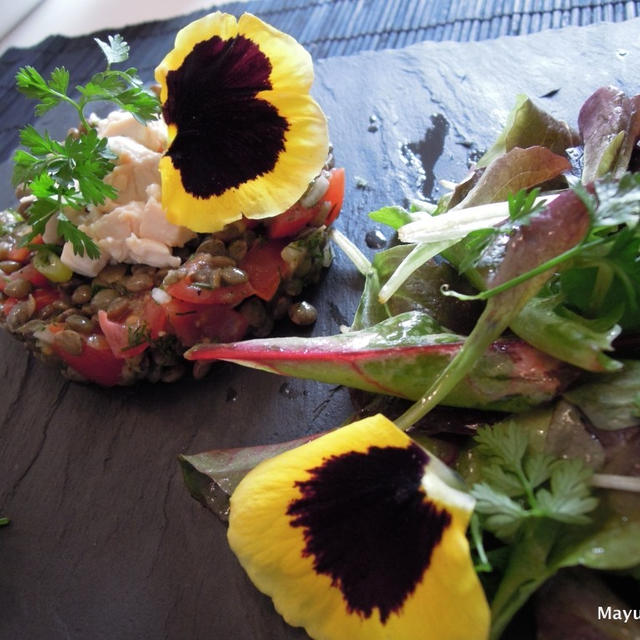 レンズ豆のサラダ；トマトとディル と味噌豆腐　Lentil Salad with Tomato and Dill