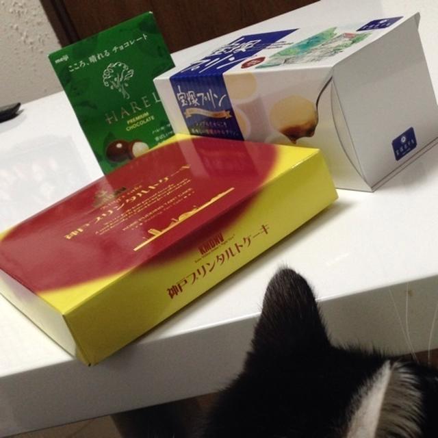 ホワイトデーのお返しはプリン