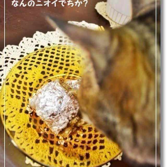続きましてぇ～♪しほさん柚餅子