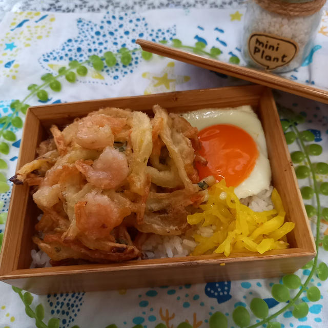 かき揚げ丼弁当〖のっけ弁当〗