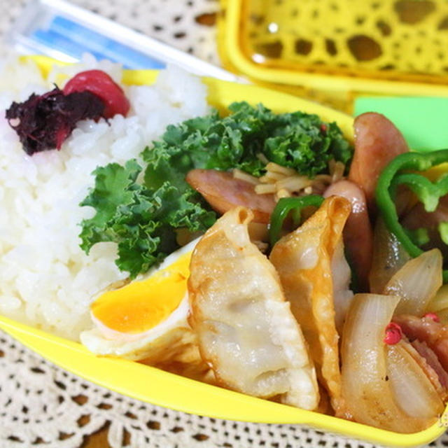 寝る前の作り置き＆つめた揚げ餃子弁当