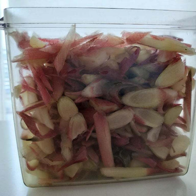みょうがの甘酢漬け　しばらく食べ放題！