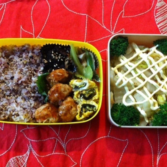 肉団子弁当＋白菜のサラダ。