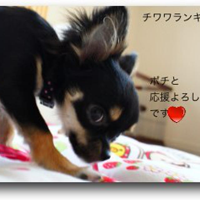 ブログ移転しました。