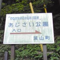 ランニング to 葉山あじさい公園