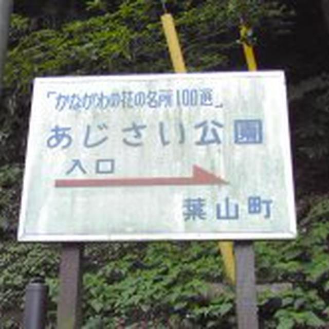 ランニング to 葉山あじさい公園