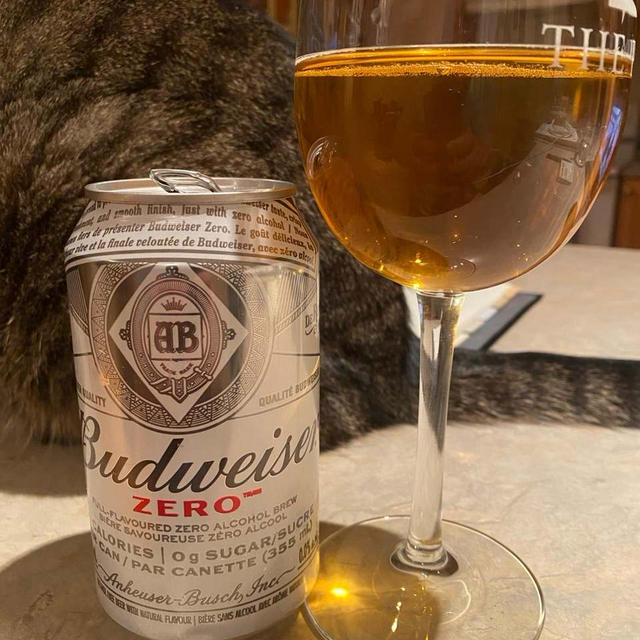 ノンアルコールビールをご説明しますが、選ぶのは貴方です