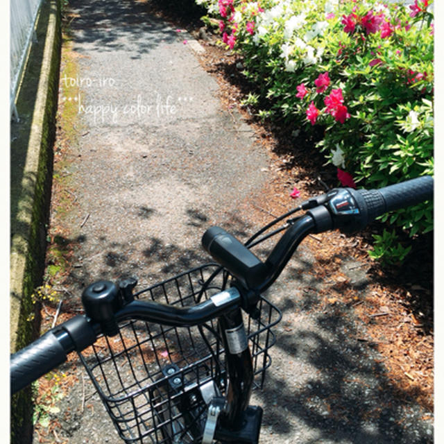 自転車