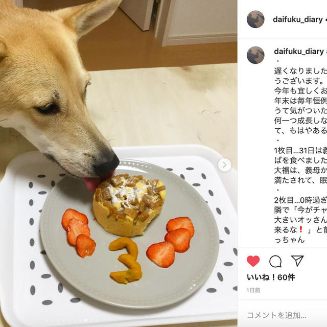 フライパンで作れるケーキを誕生日に 犬のお祝い事は楽しんだもの勝ち By 犬ごはん先生 いちかわあやこさん レシピブログ 料理ブログのレシピ満載