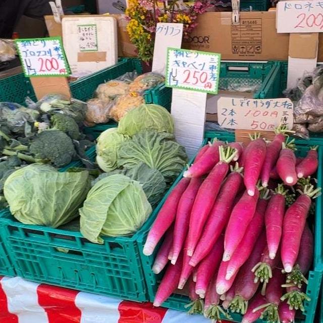 野菜も魚もめちゃ安かった〜‼︎