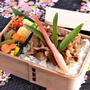 5/15 牛丼べんとう。